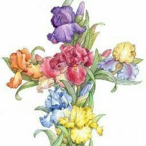 Meet your Posher, Christy